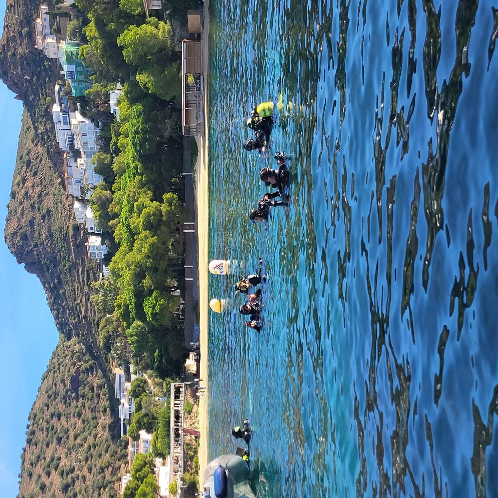 Port of Roses and Club Badia de Roses, united in cleaning the seabed