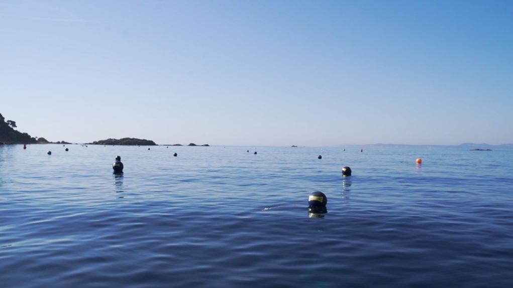 Changes in the buoy fields of Almadrava and Cala Montjoi following the indications of Capitanía Marítima.
