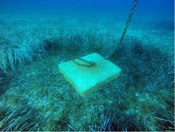 SUBMON will check the state of the posidonia in the coves of Roses. 07.09.2022