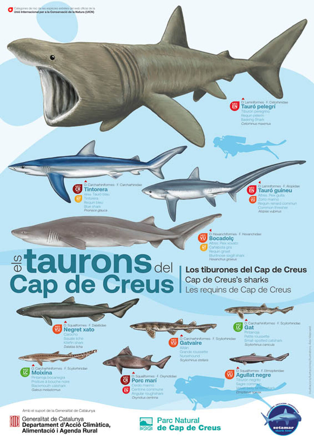 Taurons i rajades del Cap de Creus