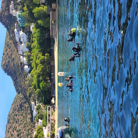 Puerto de Roses y Club Badia de Roses, unidos en la limpieza del fondo marino