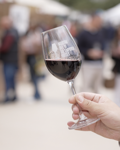 Roses experiences an April dedicated to the world of wine: DO Empordà Wine Exhibition and tasting workshops in the Gastronomic Classroom